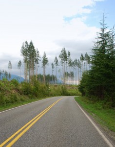 Curved country road